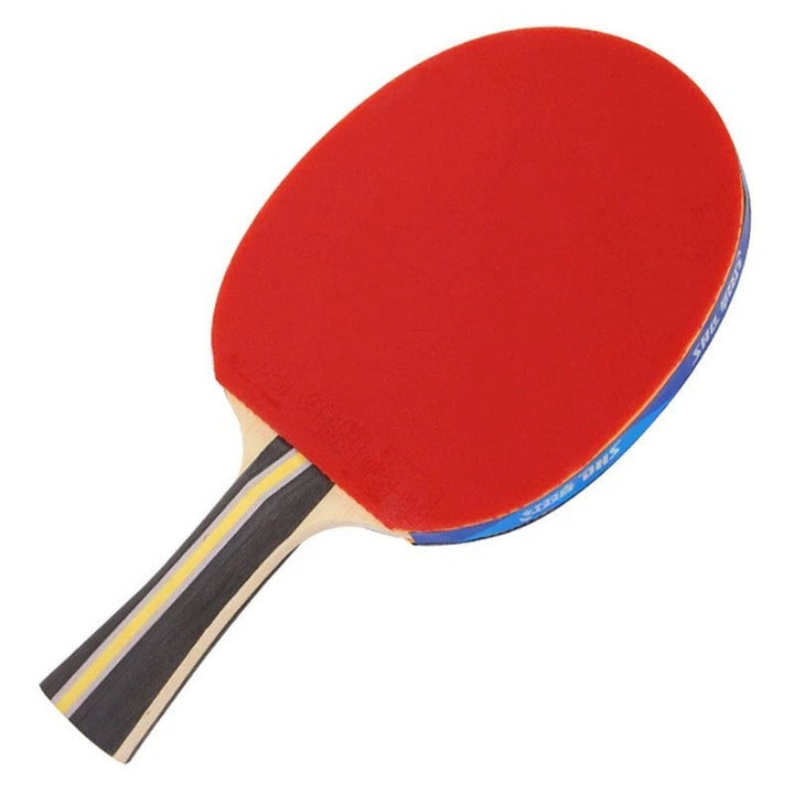 DHS 3 Star H3002,H3006,R3006,T3006 Table Tennis Bat Racket