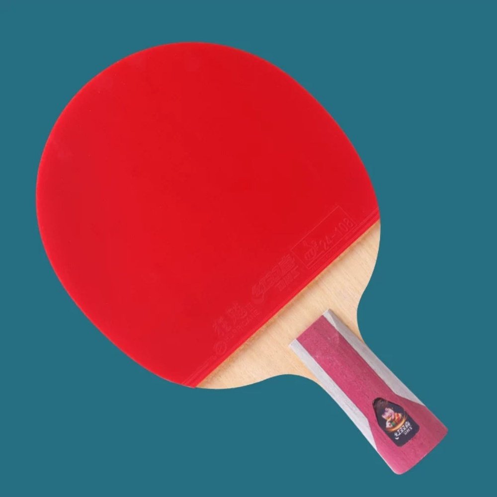 DHS 6 Star H6002,H6006Table Tennis Bat Racket