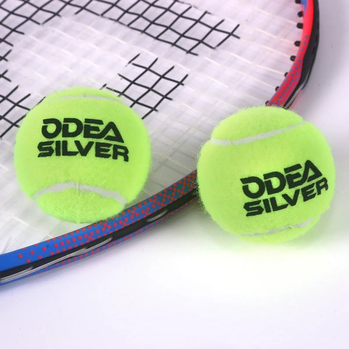 ODEA Silver Training Tennis Balls 60PCS (Rebound 135-147CM ITF)