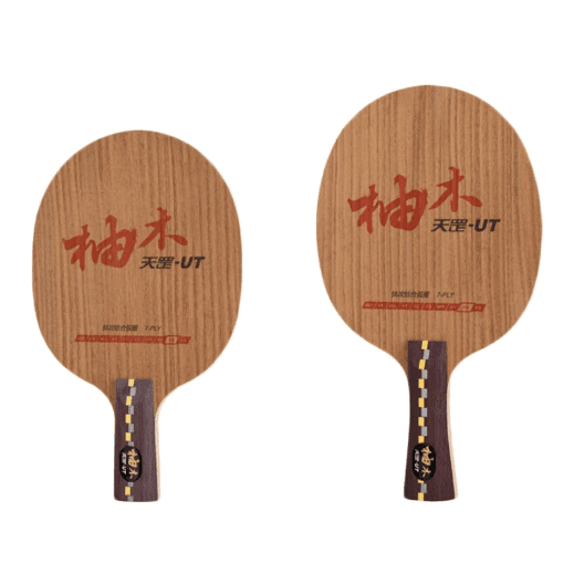 DHS Tiangang Fast Attack Carbon Table Tennis Blade